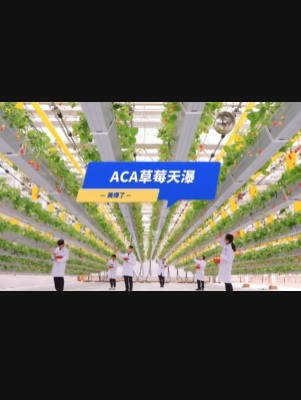 自由升降、追光生长。#ACA草莓天瀑，美爆了！向天再借500平！#ACA可控农业 #华维集团 #数字农业