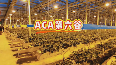 #ACA第六谷 模式，打造#ACA作物工厂，规划建园到栽培种植水肥管理一站式服务！#可控农业 #华维集团