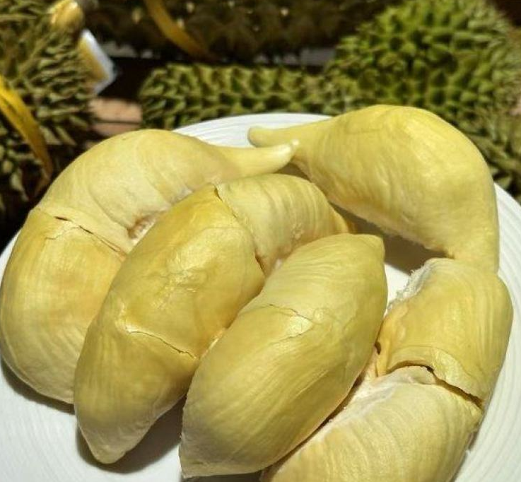 泰国甲仑榴莲
浓香满口，丝滑如奶油
甜甜糯糯，榴莲味浓郁
谁让它是泰国榴莲界的元