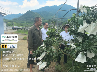 邓老师带队考察开发泰国红宝石基地。