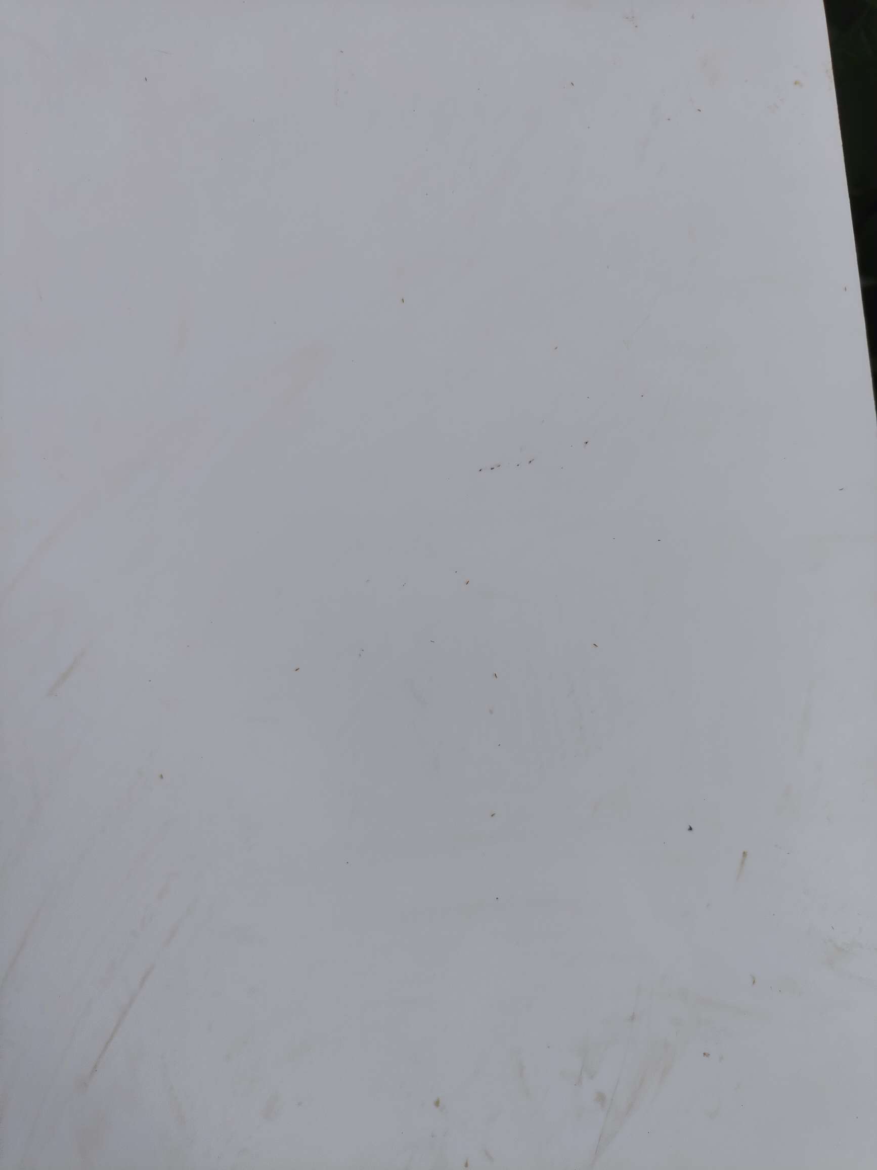 http://st-static1.icdcfp.com/forums/2025/08/18/17555288245629.jpeg