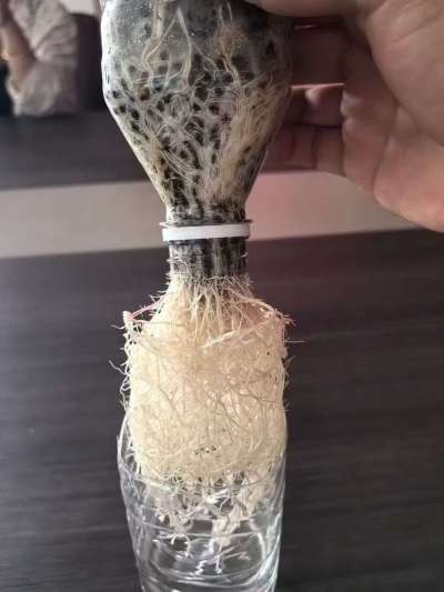 年销售量三十万吨的有机肥生产厂家，全国网点发货，资质齐全，正品保障！有机肥、生物菌肥、微生物肥料等