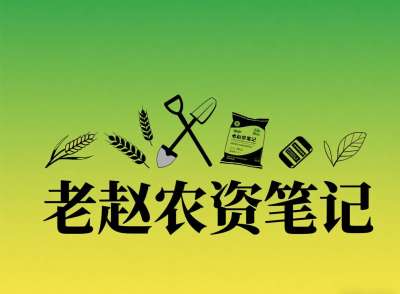 乡镇农资店对接厂家：不是否定代理，是找对&ldquo;有前景的小厂&rdquo;补增量
