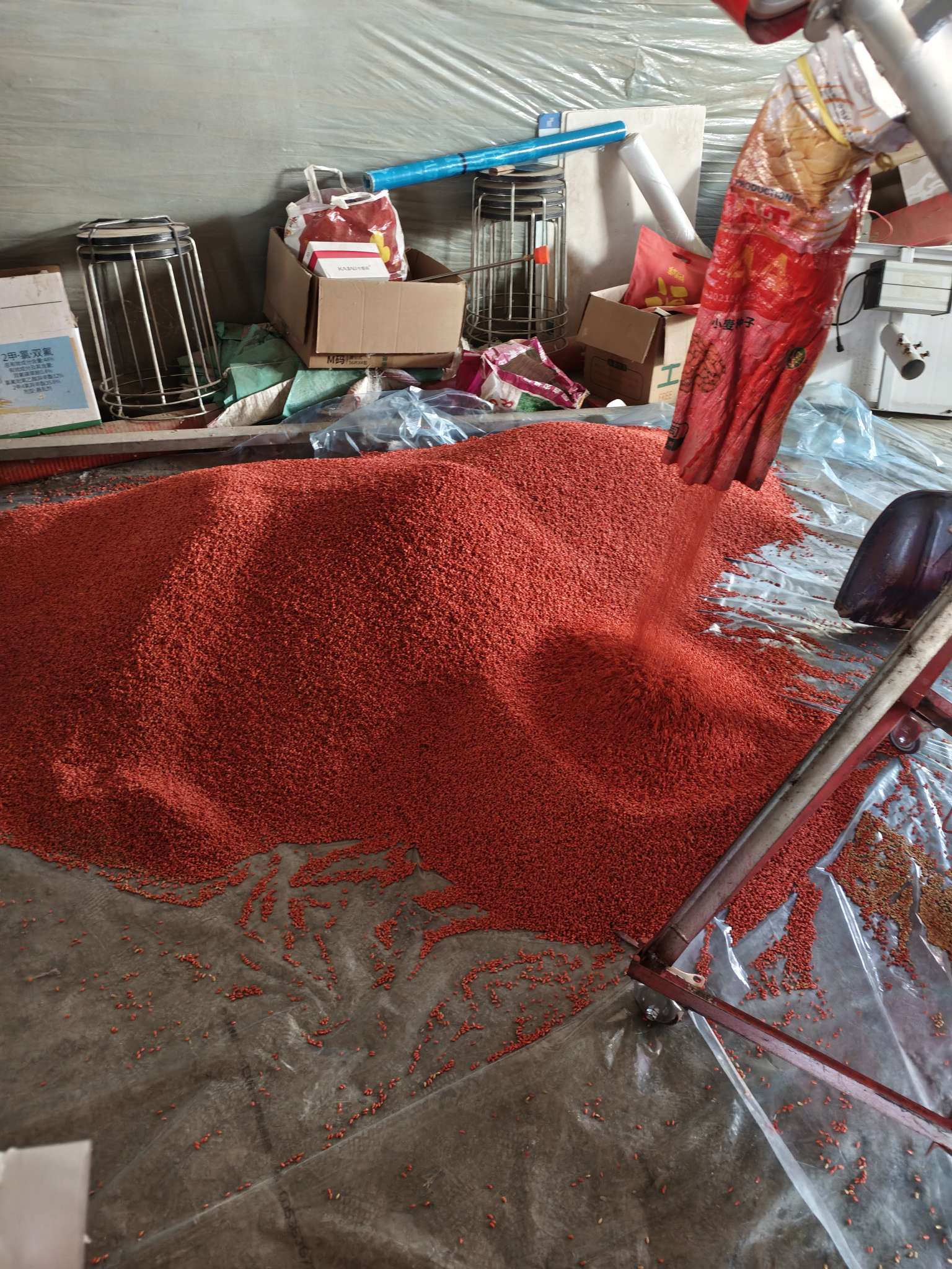 四冠包衣拌种，防虫防病壮苗增产。