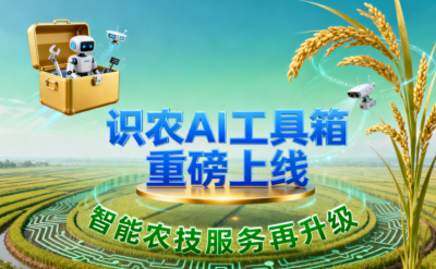 识农AI推出全场景&ldquo;农业AI百宝箱&rdquo;：病害、虫害、AI称重、AI数果、AI兑水一网打尽！农业人的终极