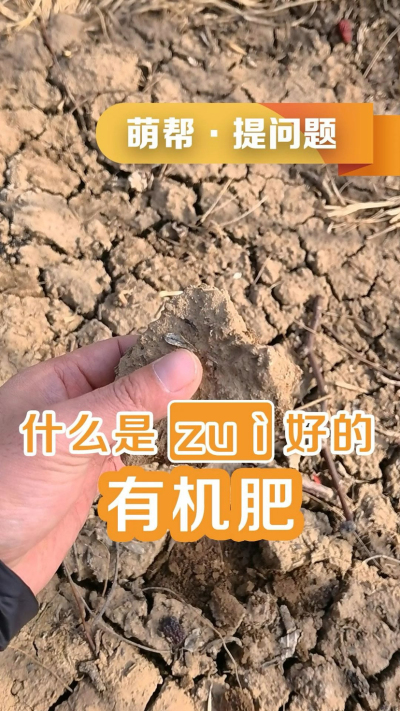 什么是最好的有机肥