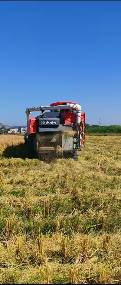 惠州基地，无人拖拉机收水稻了。