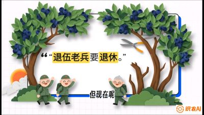 第7节：修剪决定产量（下）&mdash;&mdash;结果树的更新与疏果，课程：《蓝莓&ldquo;高产&rdquo;实战课：从选苗到丰收的10个关键点》