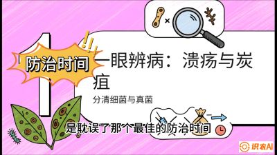 第三节：细菌与真菌&mdash;&mdash;溃疡病与炭疽病，课程：《柑橘十大病虫害：从入门到精通》