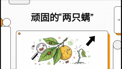 第二节：顽固&ldquo;两只满&rdquo;&mdash;&mdash;红蜘蛛与锈壁虱,课程：《柑橘十大病虫害：从入门到精通》