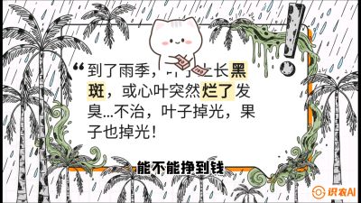 第05节：常见真菌病害&mdash;&mdash;&ldquo;炭疽与烂心，早防值千金&rdquo;《槟榔种植：从不懂到精通的10堂必修课》