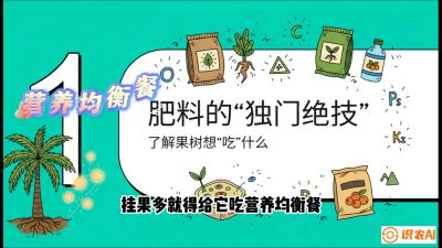 第07节：科学施肥&mdash;&mdash;&ldquo;氮磷钾配好，树壮果不倒