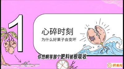 第08节：微量元素与保果&mdash;&mdash;&ldquo;补硼又补钙，果子不裂坏&rdquo;《槟榔种植：从不懂到精通的10堂必修课》