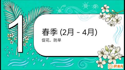 第10节：周年农事日历&mdash;&mdash;&ldquo;跟着节气走，丰产在手头&rdquo;《槟榔种植：从不懂到精通的10堂必修课》