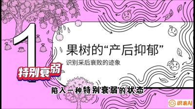 第2节：【冬肥策略】采后&ldquo;月子肥&rdquo;：大小年的精准干预术，课程：《柑橘底肥&ldquo;翻身账&rdquo;：从改土到高产的实战全书》