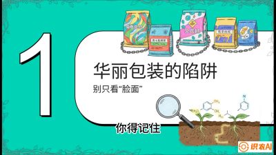 第4节：【黄金配方】底肥里的&ldquo;铁三角&rdquo;与&ldquo;微量雷区&rdquo;课程：《柑橘底肥&ldquo;翻身账&rdquo;：从改土到高产的实战全书》