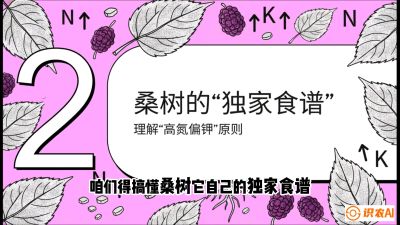 第04节：地下核动力&mdash;&mdash;桑树专用水肥一体化配方，课程：《桑海淘金：桑树高产与蚕桑安全进阶实战课》