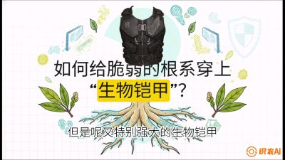 第三节：国产榴莲突围战：根系堡垒，菌根微生态构建与黄金定植窗口，课程：《国产榴莲突围战：从泰国经验到中国实操的8堂必修课（高阶实战版）》