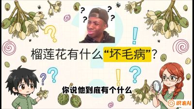 第六节：榴莲的午夜战事，夜间授粉战与花果期避雨策略，课程：《国产榴莲突围战：从泰国经验到中国实操的8堂必修课（高阶实战版）》