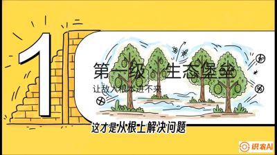 第七节：榴莲防御战：病虫害三级立体防控，疫霉菌与虫害的立体封锁线，课程：《国产榴莲突围战：从泰国经验到中国实操的8堂必修课（高阶实战版）》