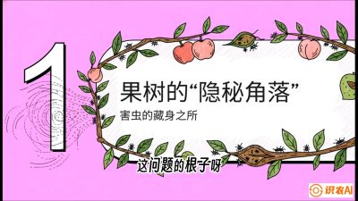 第3节：无人机专治&ldquo;打不透&rdquo;&mdash;&mdash;果树与高杆作物的穿透技巧，课程：《无人机植保搞钱必修课：从&ldquo;瞎飞&rdquo;到&ldquo;懂行&rdquo;的6步进阶》