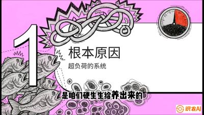 第三节：【爆款单品&middot;加州鲈】从&ldquo;玻璃鱼&rdquo;到&ldquo;摇钱树&rdquo;的通关秘籍，课程：《黄金鳞甲：2025中国淡水鱼高效养殖实战营》