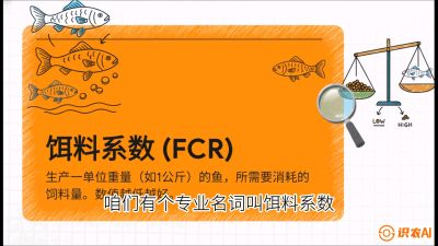 第五节：【高端单品&middot;鳜鱼】&ldquo;饲料鳜&rdquo;技术：打破吃活饵的高成本魔咒，课程：《黄金鳞甲：2025中国淡水鱼高效养殖实战营》