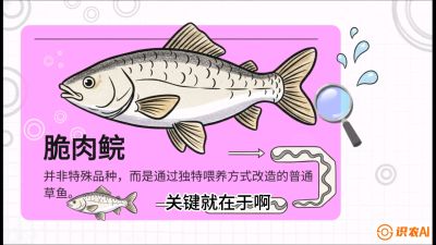 第六节：【老品升级&middot;脆肉鲩】如何让草鱼身价翻倍？，课程：《黄金鳞甲：2025中国淡水鱼高效养殖实战营》