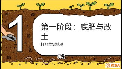 第6节（统筹篇）： 省钱又增产的&ldquo;黄金配比&rdquo;&mdash;&mdash;不同作物全年的养土实操方案，课程：《揭秘土壤的秘密：让土地帮你赚钱》#识农AI