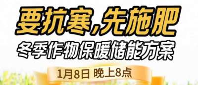 《细说农技》预警！多地作物冻害激增：种粮大户靠张宝林 &ldquo;3 步施肥&rdquo; 冻害降 90%，1 月 8 日