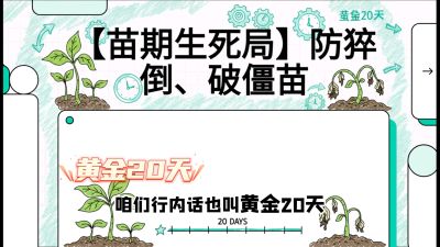 第2节：【苗期生死局】防猝倒、破僵苗，决定后期产量的&ldquo;黄金20天&rdquo;，课程：《辣椒种植实战特训营，从工业辣椒到精品小米辣，教你如何把&ldquo;草&rdquo;种成&ldquo;金&rdquo;》