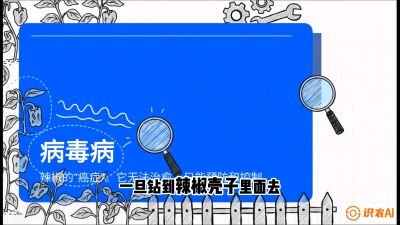 第5节：【病毒病阻击】辣椒的&ldquo;癌症&rdquo;怎么治？从&ldquo;绝收恐慌&rdquo;到&ldquo;带毒生产&rdquo;的逆转术，课程：《辣椒种植实战特训营，从工业辣椒到精品小米辣，教你如何把&ldquo;草&rdquo;种成&ldquo;金&rdquo;》