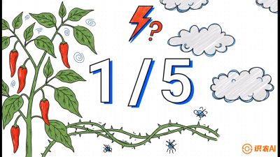 第6节：【花果爆发术】落花落果的五大元凶，与&ldquo;三喷一保&rdquo;坐果黑科技，课程：《辣椒种植实战特训营，从工业辣椒到精品小米辣，教你如何把&ldquo;草&rdquo;种成&ldquo;金&rdquo;》