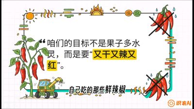 第7节：【工业辣椒专场】追求极致辣度！干物质提升与机械化采收的&ldquo;催红秘籍&rdquo;，课程：《辣椒种植实战特训营，从工业辣椒到精品小米辣，教你如何把&ldquo;草&rdquo;种成&ldquo;金&rdquo;》