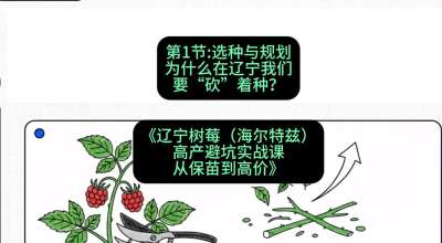 第一节： 选种与规划&mdash;&mdash;为什么在辽宁我们要&ldquo;砍&rdquo;着种？，课程：《辽宁树莓（海尔特兹）高产避坑实战课：从保苗到高价》