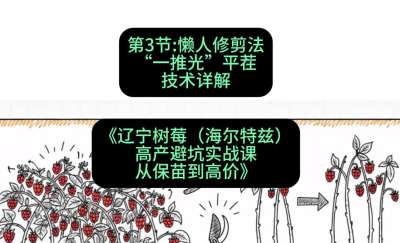 第三节： 懒人修剪法&mdash;&mdash;&ldquo;一推光&rdquo;平茬技术详解，课程：《辽宁树莓（海尔特兹）高产避坑实战课：从保苗到高价》