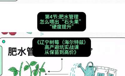 第四节： 肥水管理&mdash;&mdash;怎么喂出&ldquo;石头果&rdquo;（硬度提升），课程：《辽宁树莓（海尔特兹）高产避坑实战课：从保苗到高价》