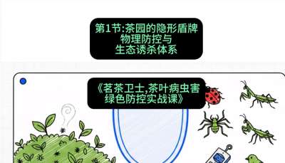 第01节：茶园的&ldquo;隐形盾牌&rdquo;&mdash;&mdash;物理防控与生态诱杀体系，课程：《茗茶卫士&mdash;&mdash;茶叶病虫害绿色防控实战课》#识农AI