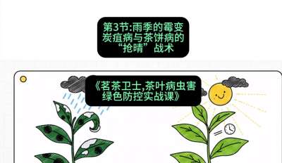 第03节：雨季的霉变&mdash;&mdash;炭疽病与茶饼病的&ldquo;抢晴&rdquo;战术，课程：《茗茶卫士&mdash;&mdash;茶叶病虫害绿色防控实战课》#识农AI