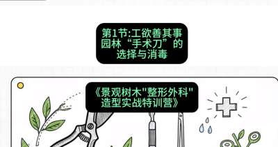 第01节：工欲善其事&mdash;&mdash;园林&ldquo;手术刀&rdquo;的选择与消毒，课程：《景观树木&ldquo;整形外科&rdquo;造型实战特训营》#识农AI