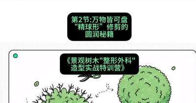 第02节：万物皆可盘&mdash;&mdash;&ldquo;精球形&rdquo;修剪的圆润秘籍，课程：《景观树木&ldquo;整形外科&rdquo;造型实战特训营》#识农AI