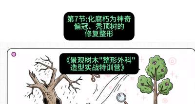 第07节：化腐朽为神奇&mdash;&mdash;偏冠、秃顶树的修复整形，课程：《景观树木&ldquo;整形外科&rdquo;造型实战特训营》#识农AI