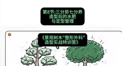 第08节：三分剪七分养&mdash;&mdash;造型后的水肥与定型管理，课程：《景观树木&ldquo;整形外科&rdquo;造型实战特训营》#识农AI