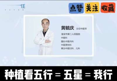 中药材淫羊藿怎么种？听专家一次讲明白！不挑地块好管理，耐寒耐旱省心省力，新手也能轻松上手，药用价值高、市场需求稳，妥妥的增收好品种～ 从生长习性到采收要点，干货满满无废话，种植疑问直接问，一对一答疑解