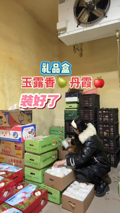 玉露香梨，丹霞苹果礼品盒