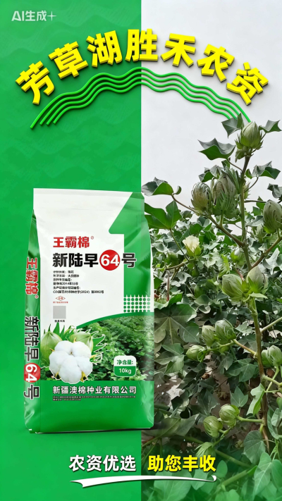 #澳棉种业王霸棉#芳草湖胜禾农资