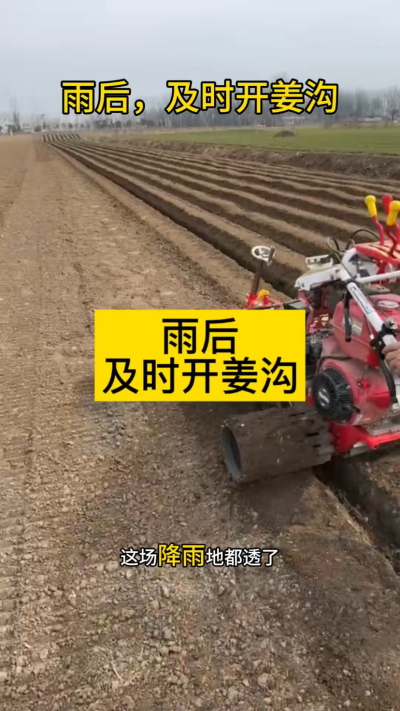 雨后，及时开姜沟！