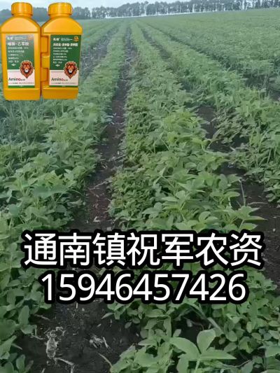 大豆苗前封闭，可封红根苋菜，灰菜，兰花菜，野豆子，捞豆秧等恶性杂草，封杀兼备的高端产品。