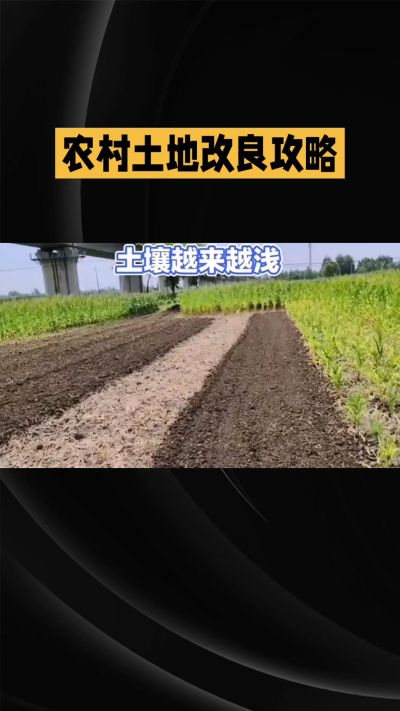 1. 先搞懂：你到底要改良哪块地、种什么
 
- 土土土在哪里？
就是你自家农田、菜地、果园，哪块地想种庄稼，就测哪块地的土。
​
- 有水没有水？
有水能浇：改良更省事，施肥、调酸碱都好操作。
没水