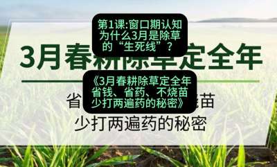 第1节：窗口期认知，为什么3月是除草的&ldquo;生死线&rdquo;？，课程：《3月春耕除草定全年：省钱、省药、不烧苗、少打两遍药的秘密》